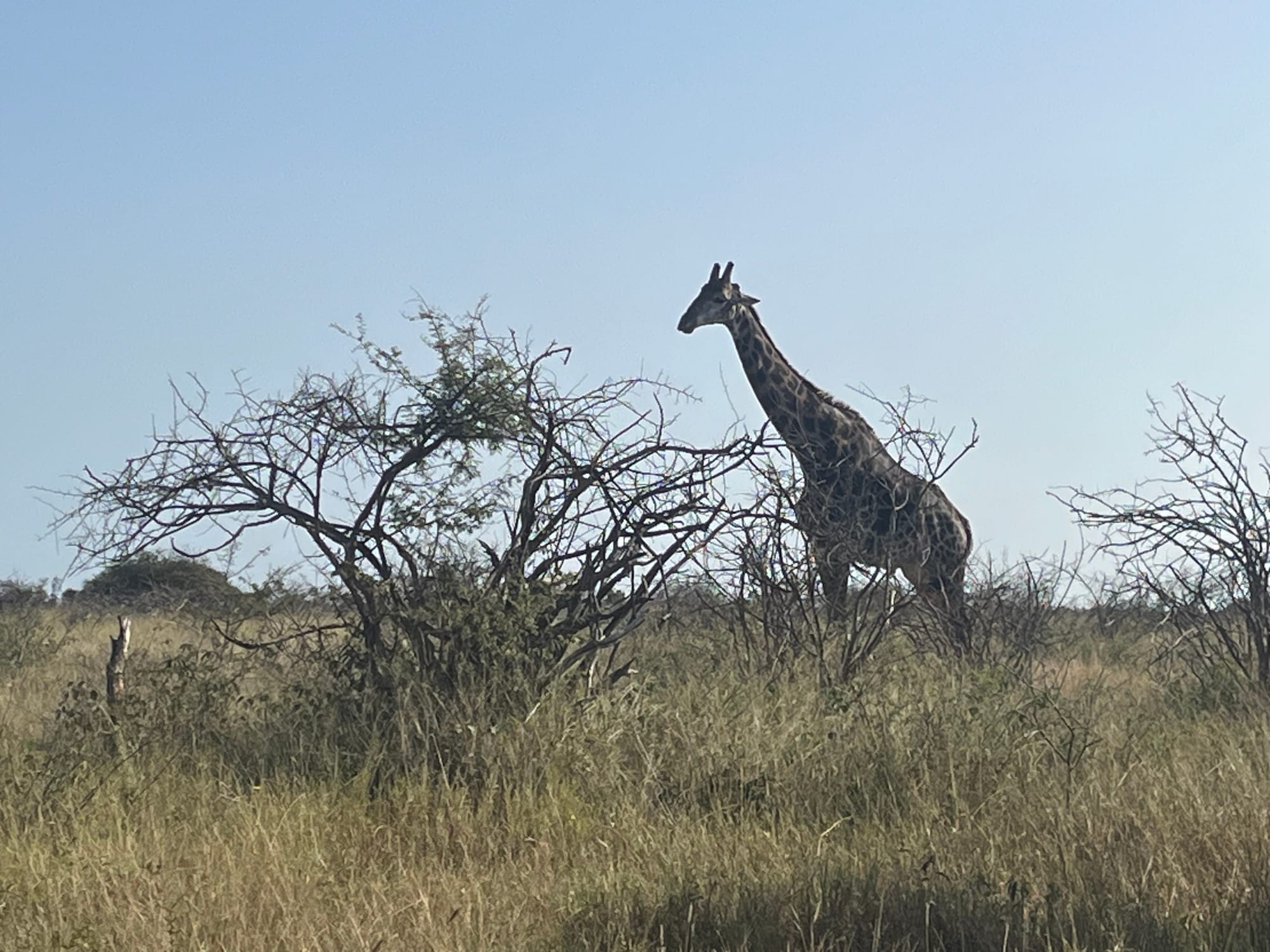 자연과 사랑에 대해 내가 착각한 것들